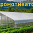 Грант «Агромотиватор»: Поддержка участников и ветеранов СВО в сфере АПК Дагестана. - Докузпаринский район